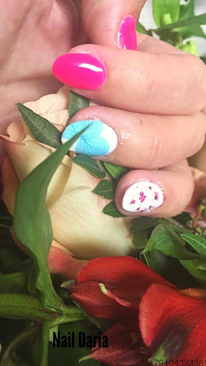 сухоцветы для ногтей москва